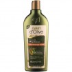 Dalan d'Olive Shampoo 400ml in der Flasche