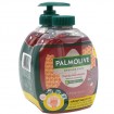 Palmolive Flüssig Seife 2x300ml Hygiene Plus Fam.